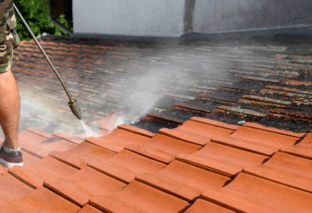 Best Roof Power Washing Services  in West Deland, FL